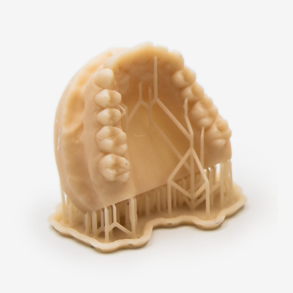 Modelos impresos en 3D